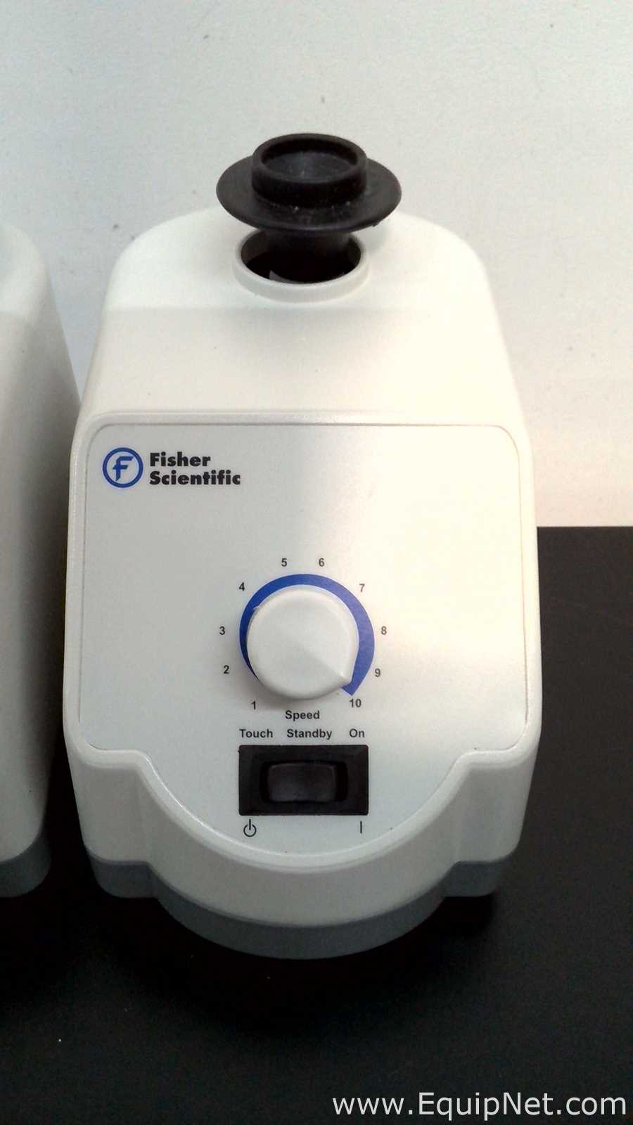 Lote de 4 Agitador Fisher Scientific 02215414