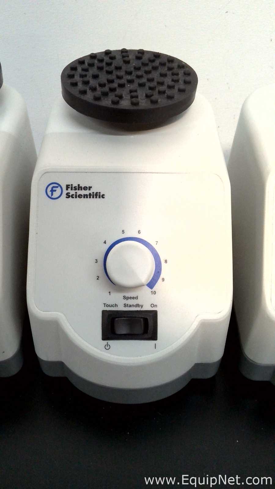 Lote de 4 Agitador Fisher Scientific 02215414