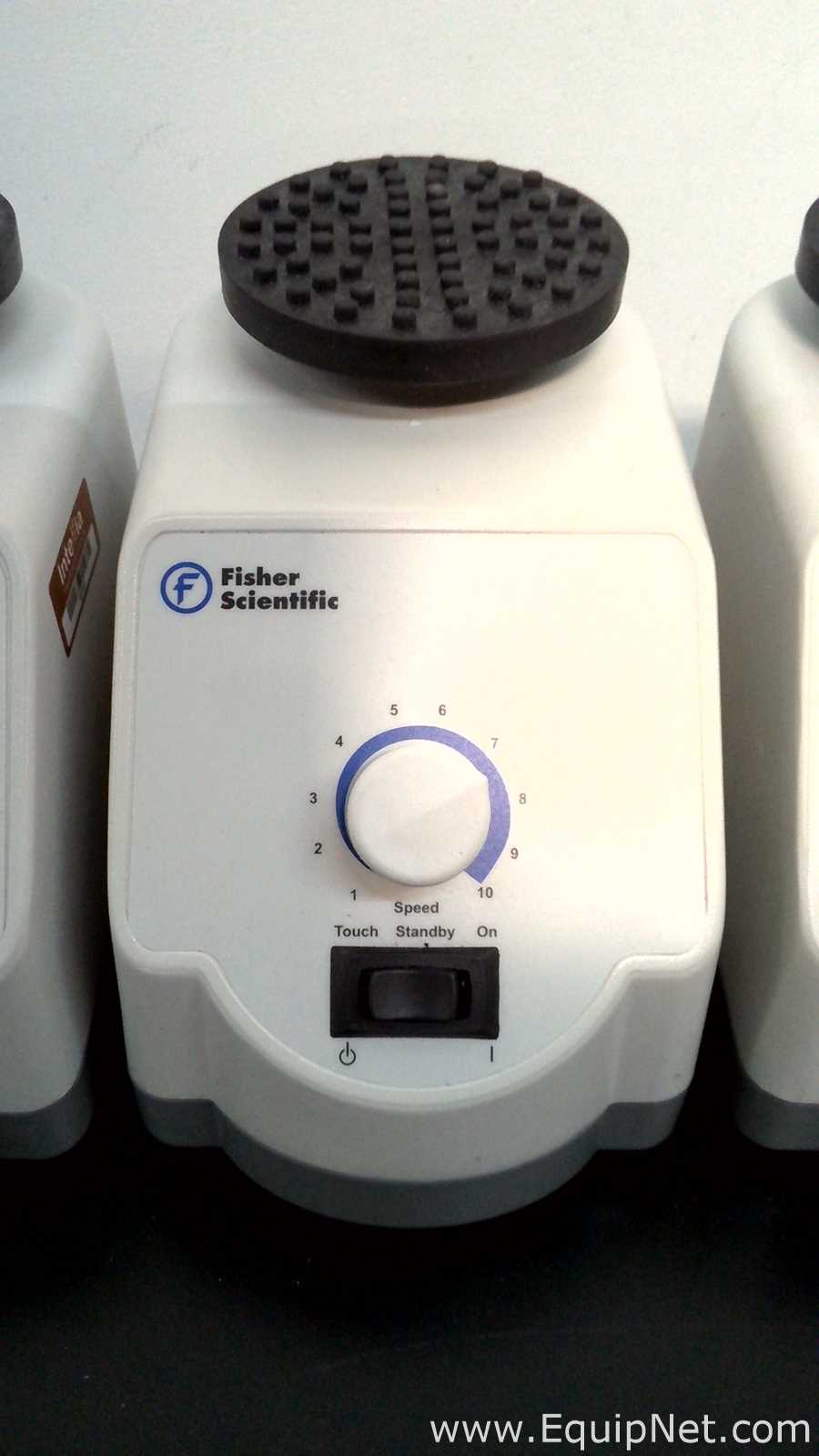 Lote de 4 Agitador Fisher Scientific 02215414