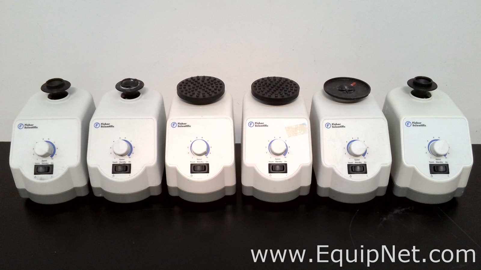 Lote de 6 Agitador Fisher Scientific 02215414