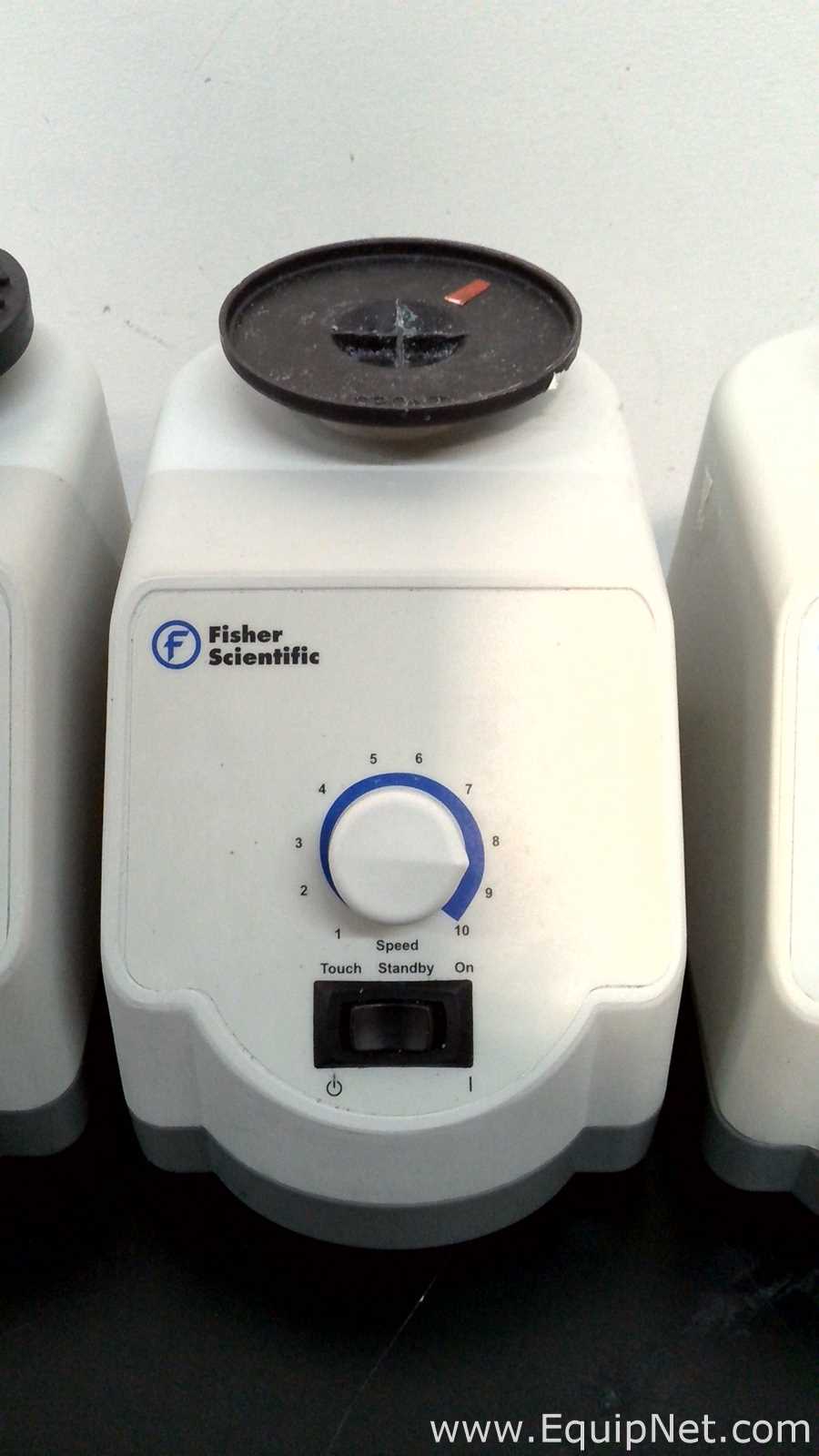 Lote de 6 Agitador Fisher Scientific 02215414