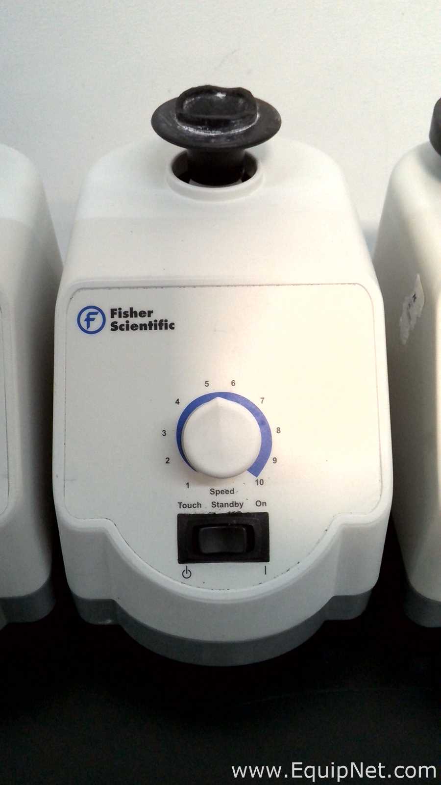 Lote de 6 Agitador Fisher Scientific 02215414