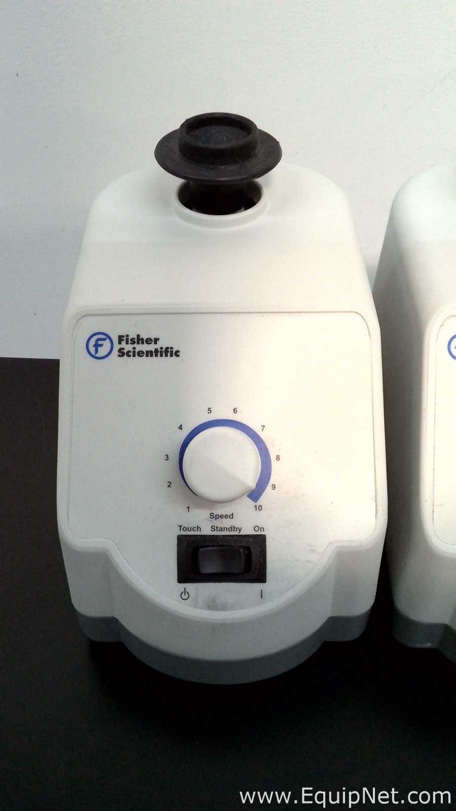 Lote de 6 Agitador Fisher Scientific 02215414
