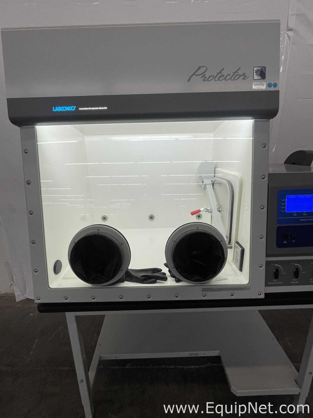Labconco Protector Controlled Atmosphere Glove Box