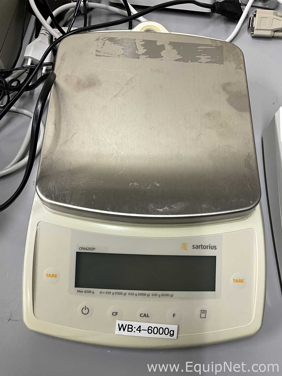 Miscellaneous Lot of Balances Printers, and pH Meters