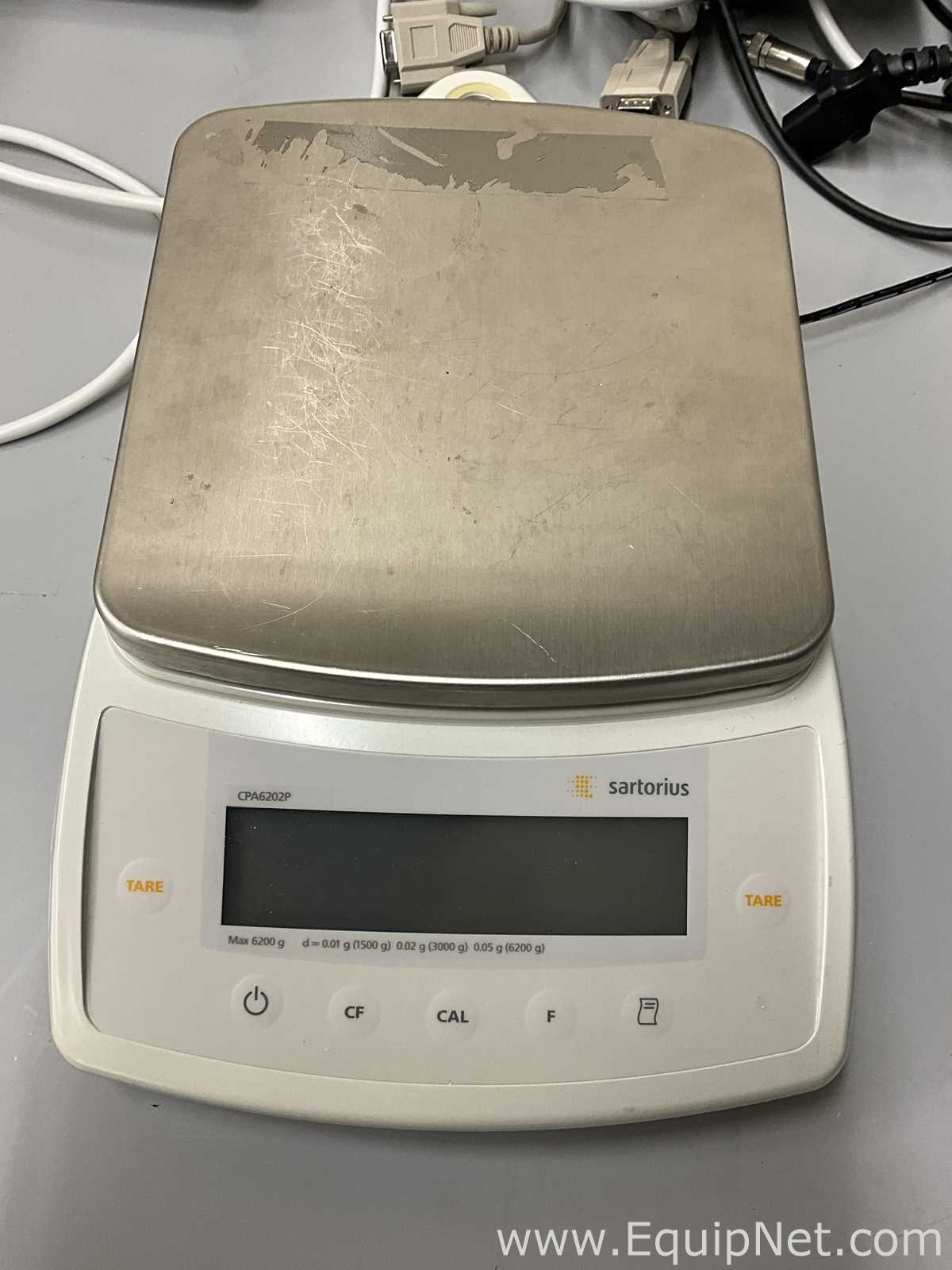 Miscellaneous Lot of Balances Printers, and pH Meters