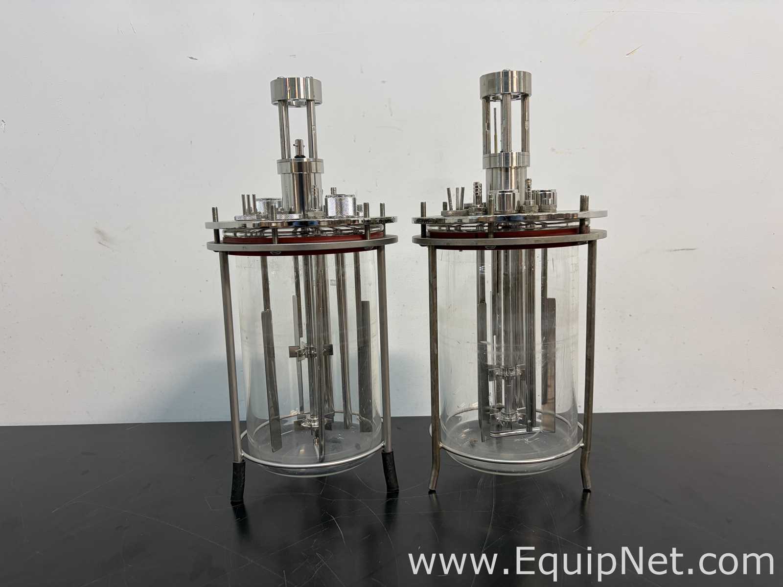 Biorreactor Applikon Biotechnology Z310110011 EZ-Control