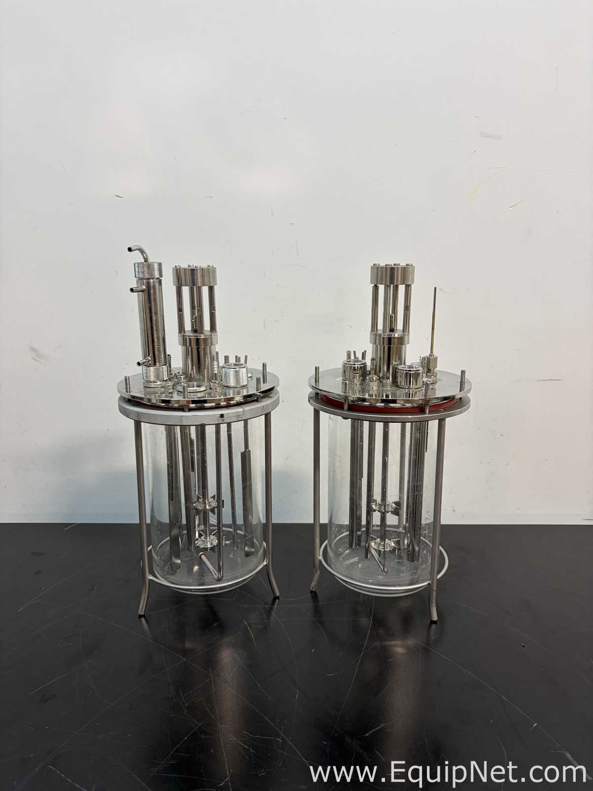Biorreactor Applikon Biotechnology Z310110011 EZ-Control