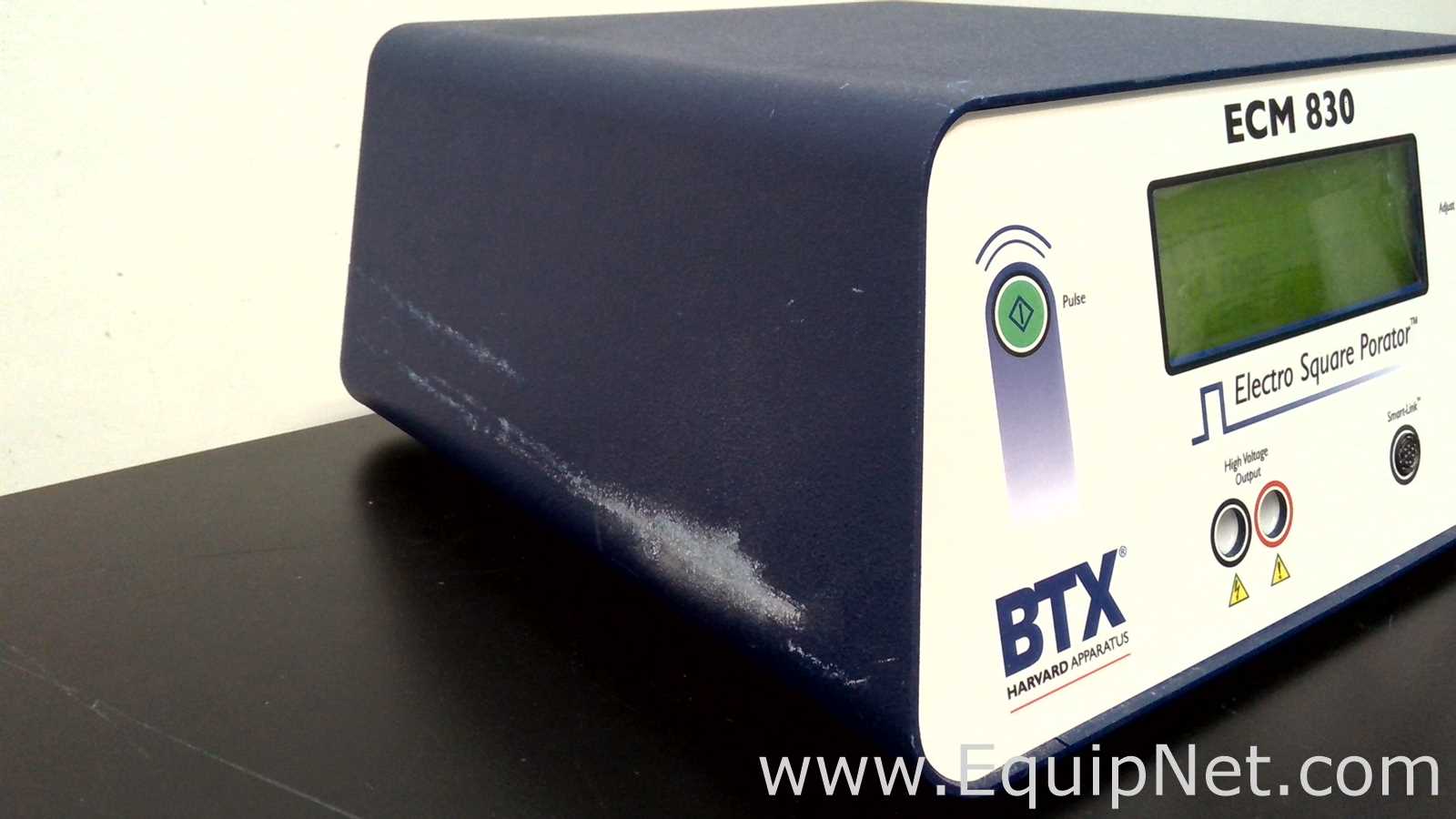 Sistema de Eletroforese BTX Harvard Apparatus  ECM830