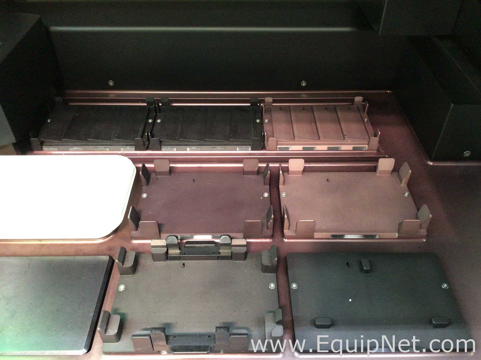 PCR e Termociclador Bio-Rad Automated droplet generator