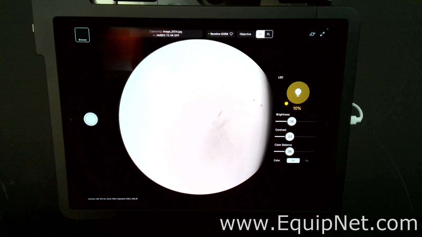 Microscopio Echo RVL-100-G