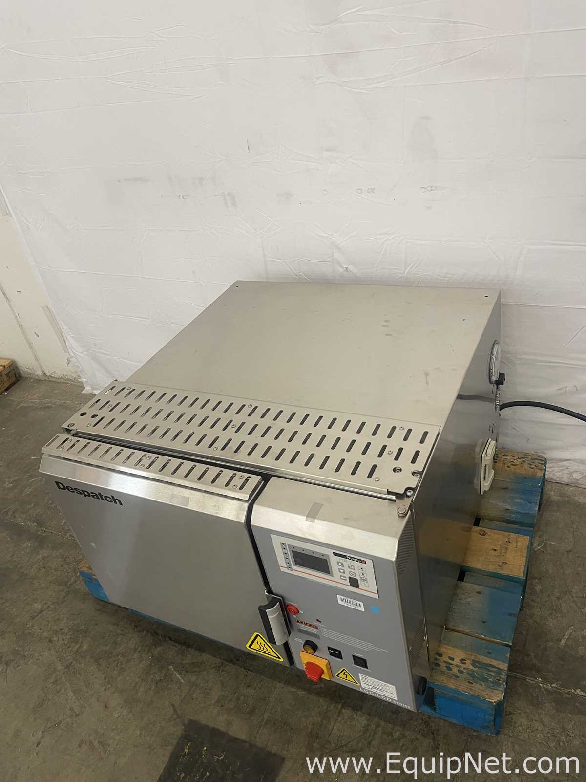 Horno para Procesos Térmicos Despatch LCD1-16V-4