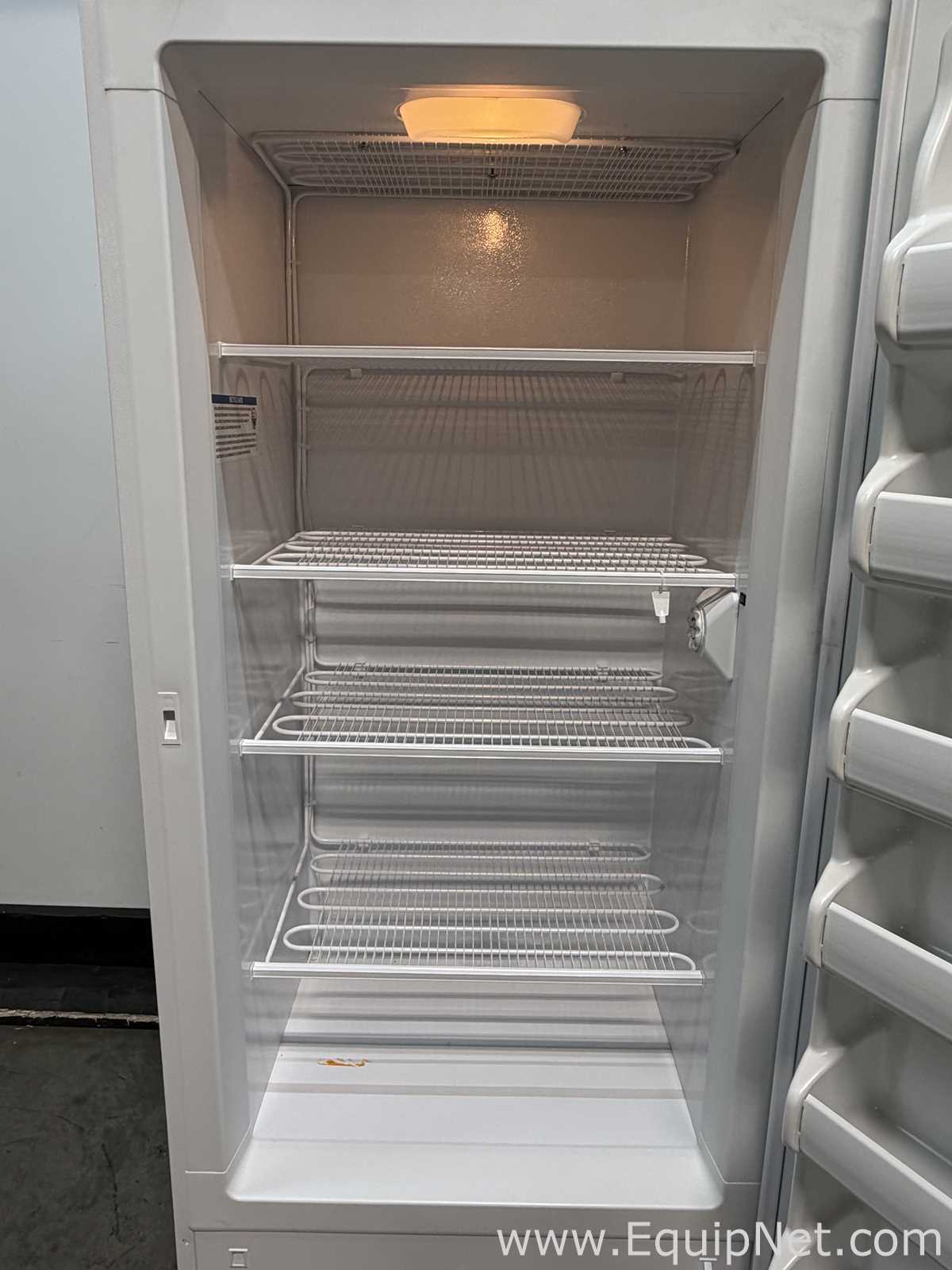 Congelador Fisher Scientific 20LFEEFSA