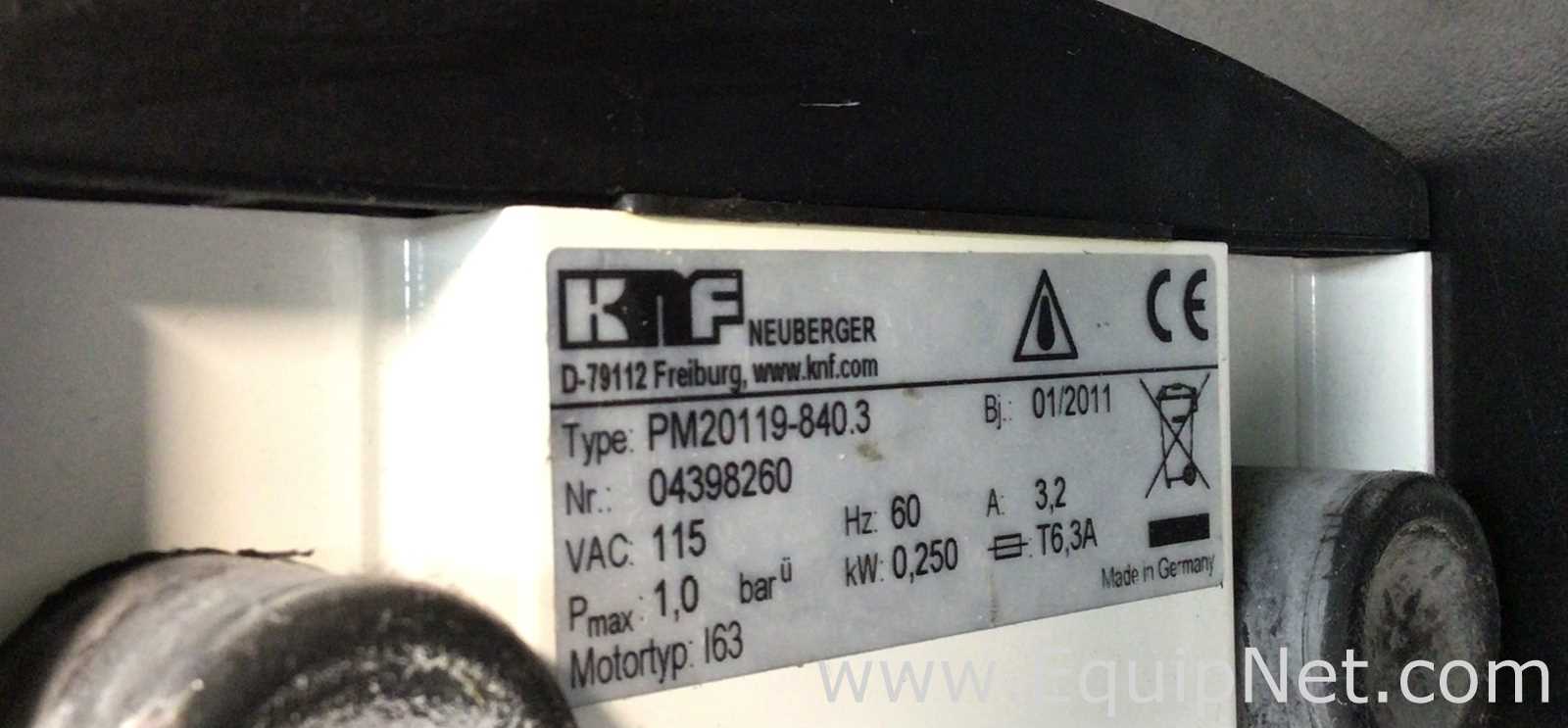 Bomba de Diafragma KNF Neuberger PM20119-840.3