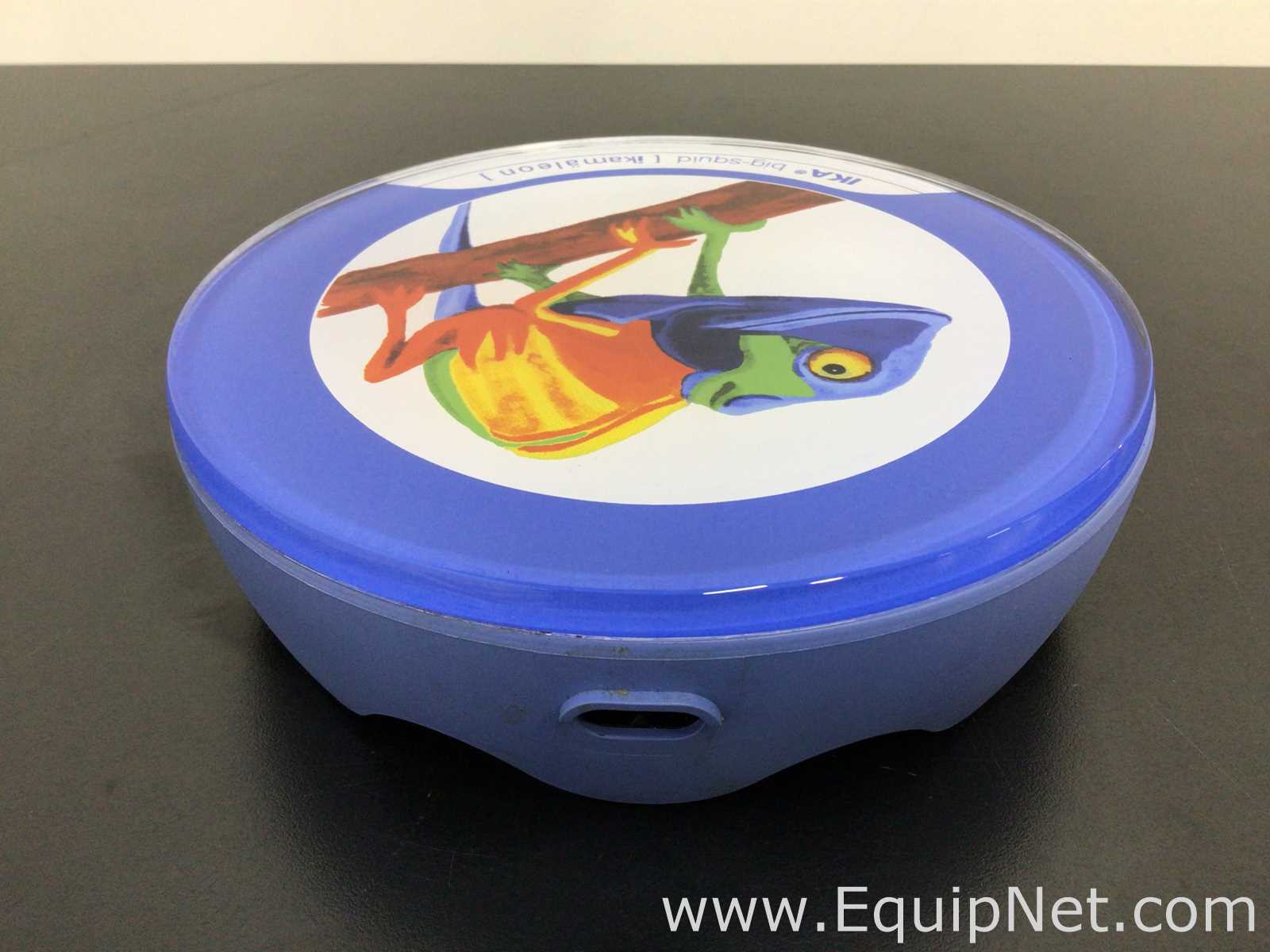 IKA BigSquid - IKAmaleon Magnetic Stirrer
