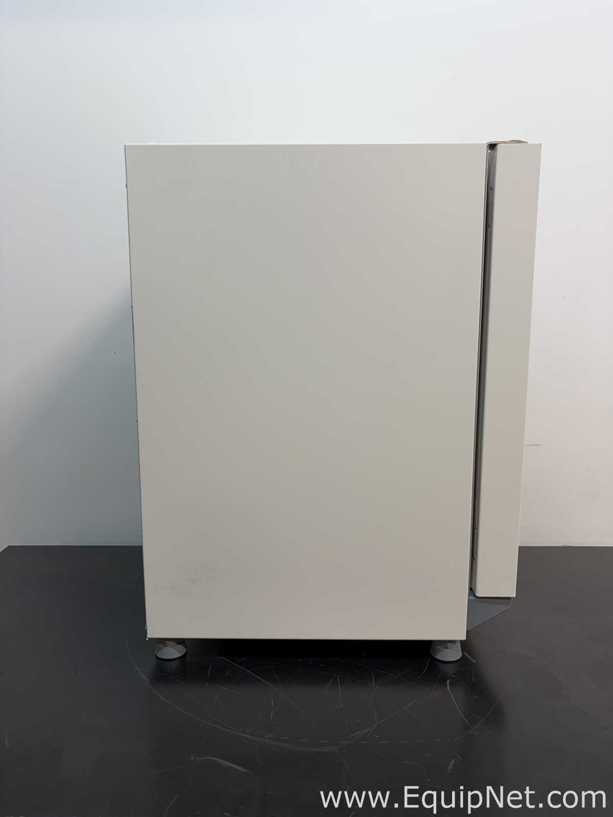Incubadora Thermo Scientific Fisherbrand Basic 60L