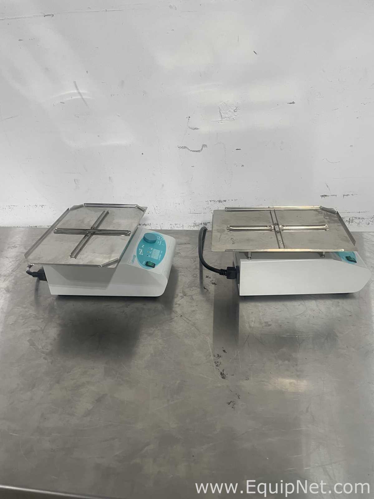 Lote de 2 Agitador LabNet Orbit P4