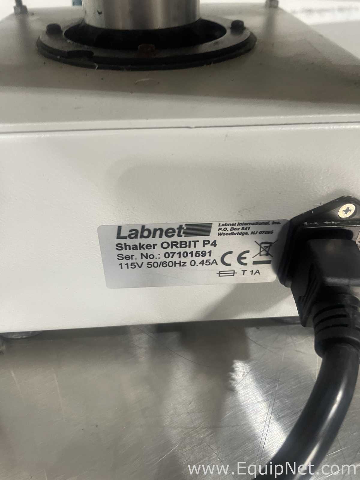 Lote de 2 Agitador LabNet Orbit P4