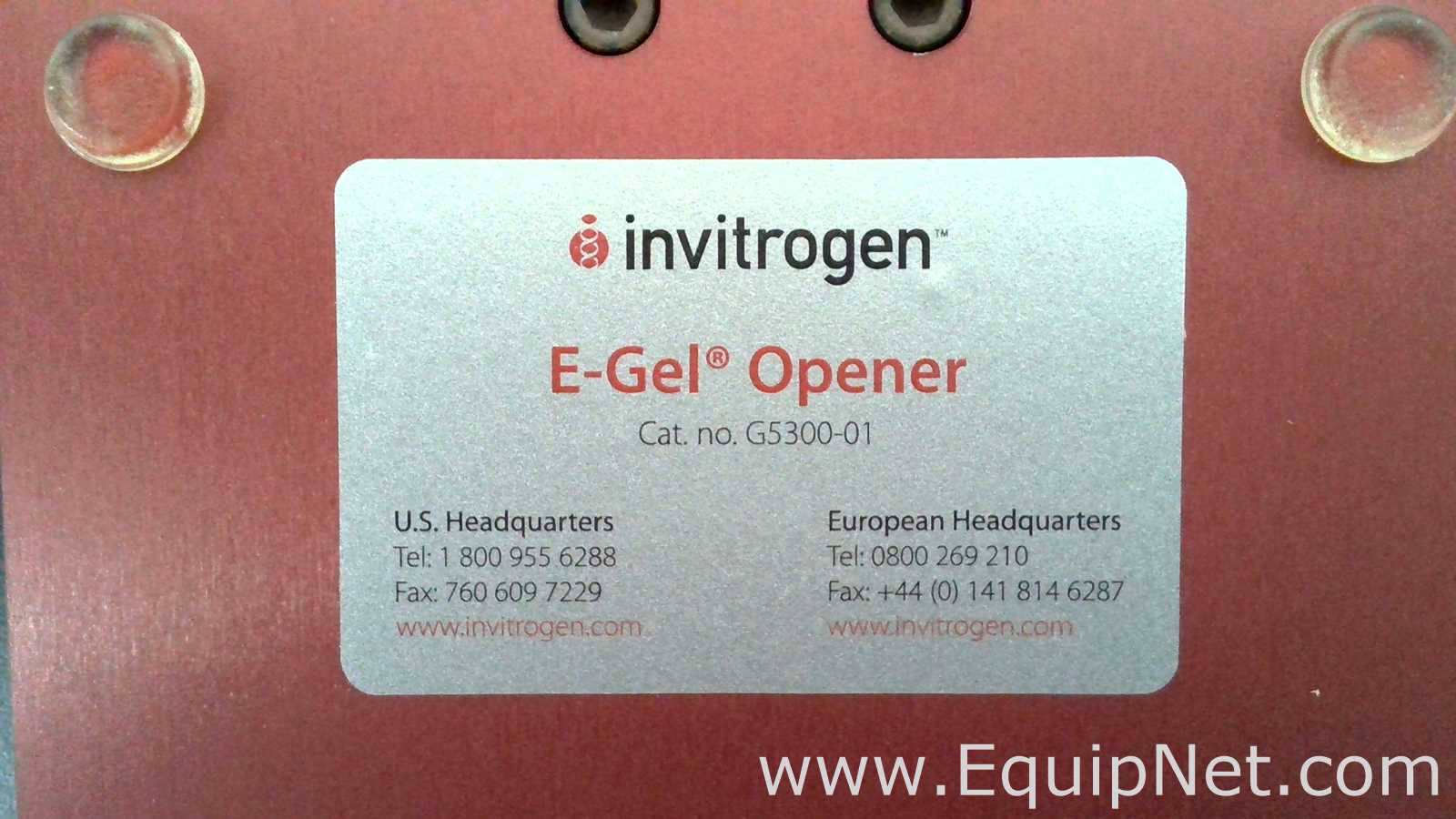 Lot of Invitrogen Gel Electrophoresis Equipment