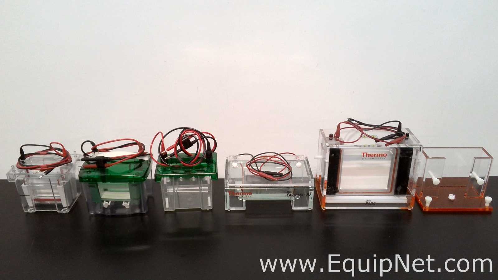 Lot of Electrophoresis Equipment