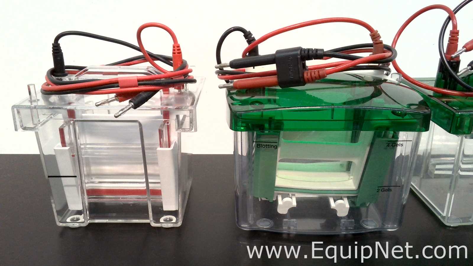 Lot of Electrophoresis Equipment