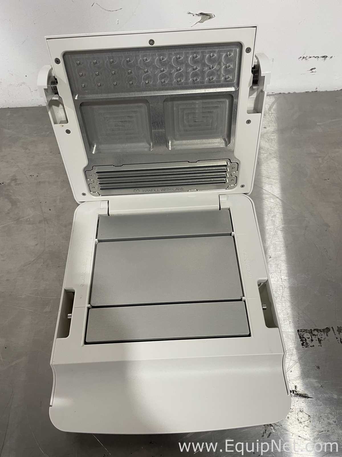 Invitrogen iBind Flex Western Device