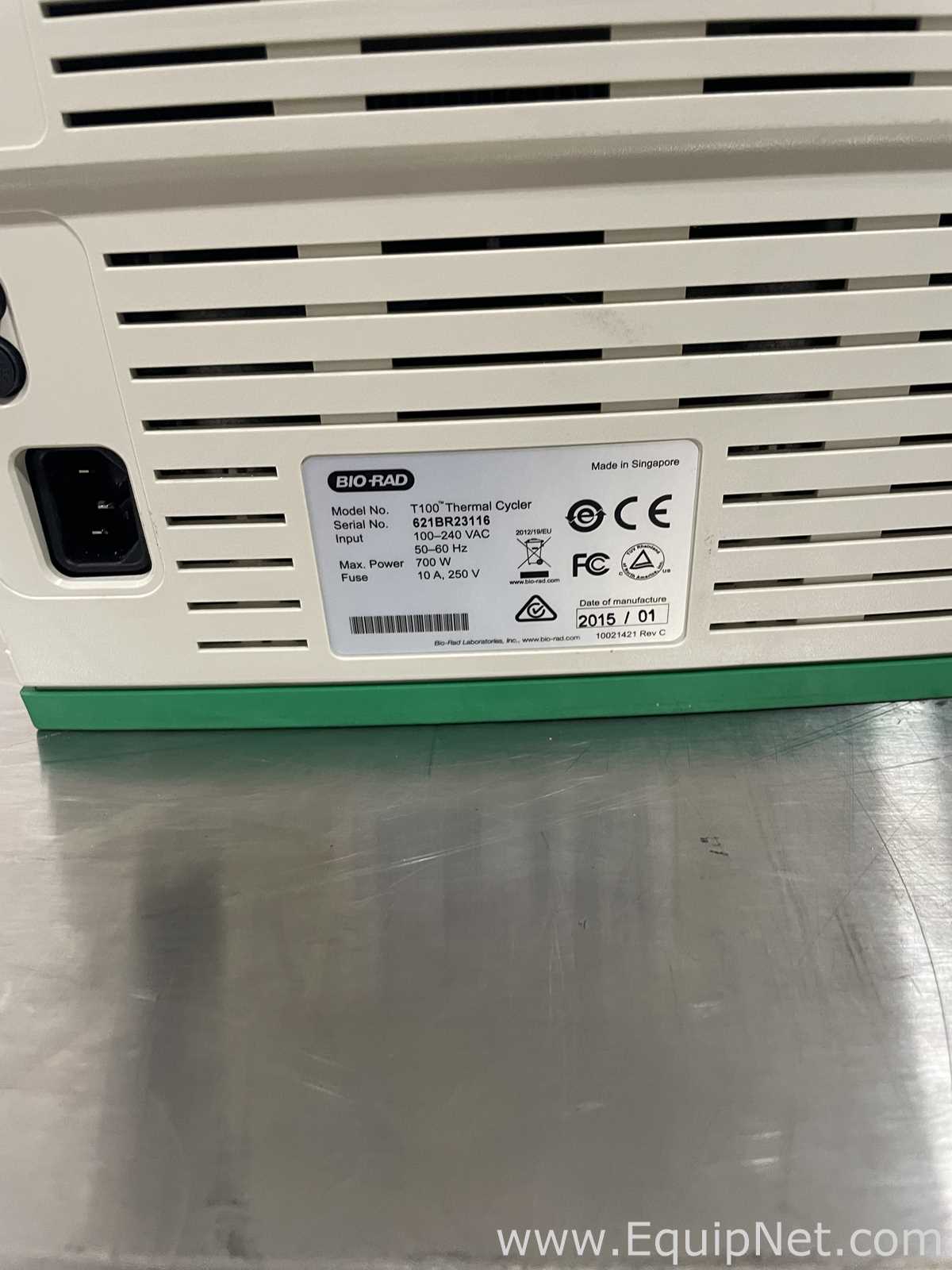 PCR e Termociclador Bio-Rad T100
