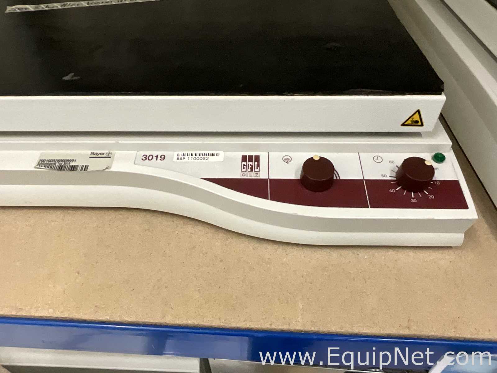 Agitador GFL 3019