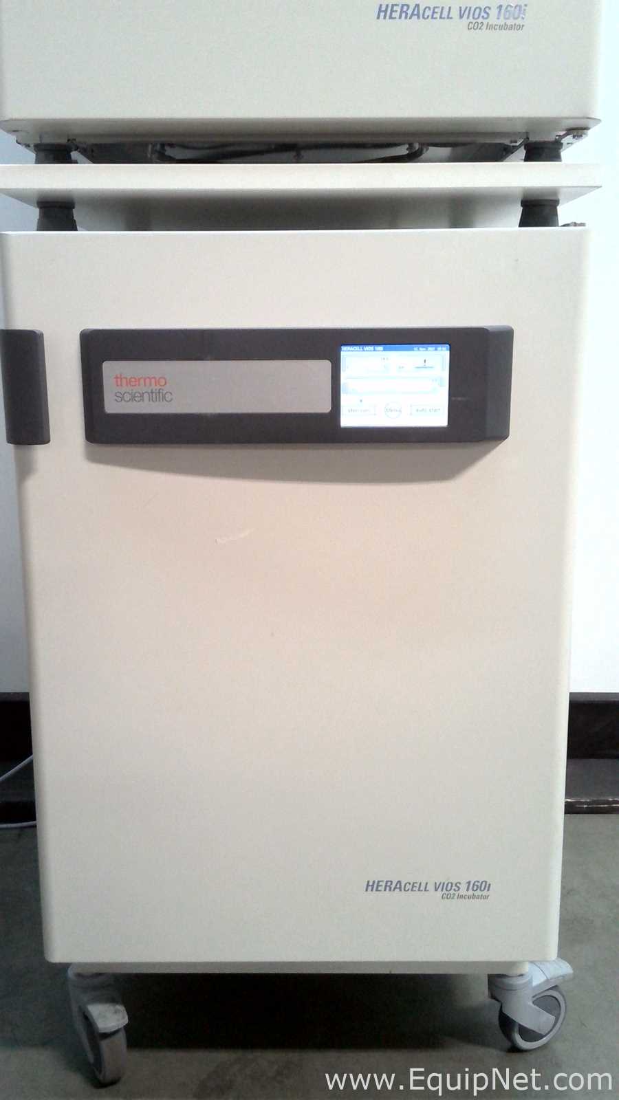 Inkubator Thermo Fisher Scientific HERAcell vios 160i
