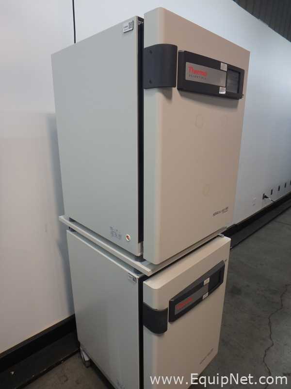 Incubadora Thermo Scientific Heracell Vios 160i