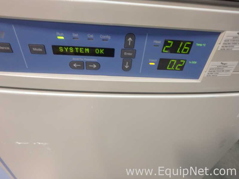 Incubadora Thermo Scientific 370
