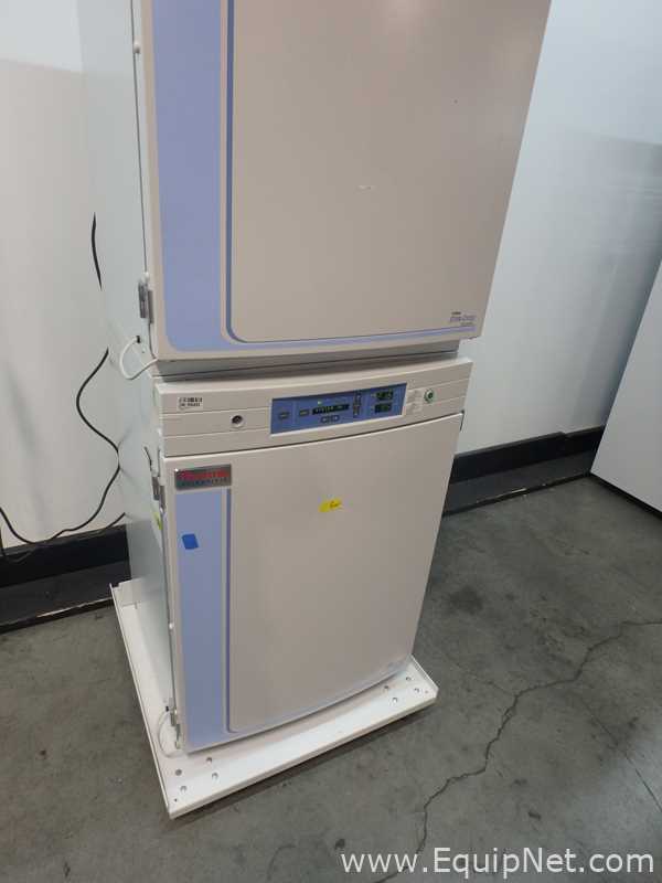 Incubadora Thermo Scientific 370