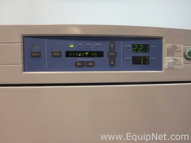Incubadora Thermo Scientific 370