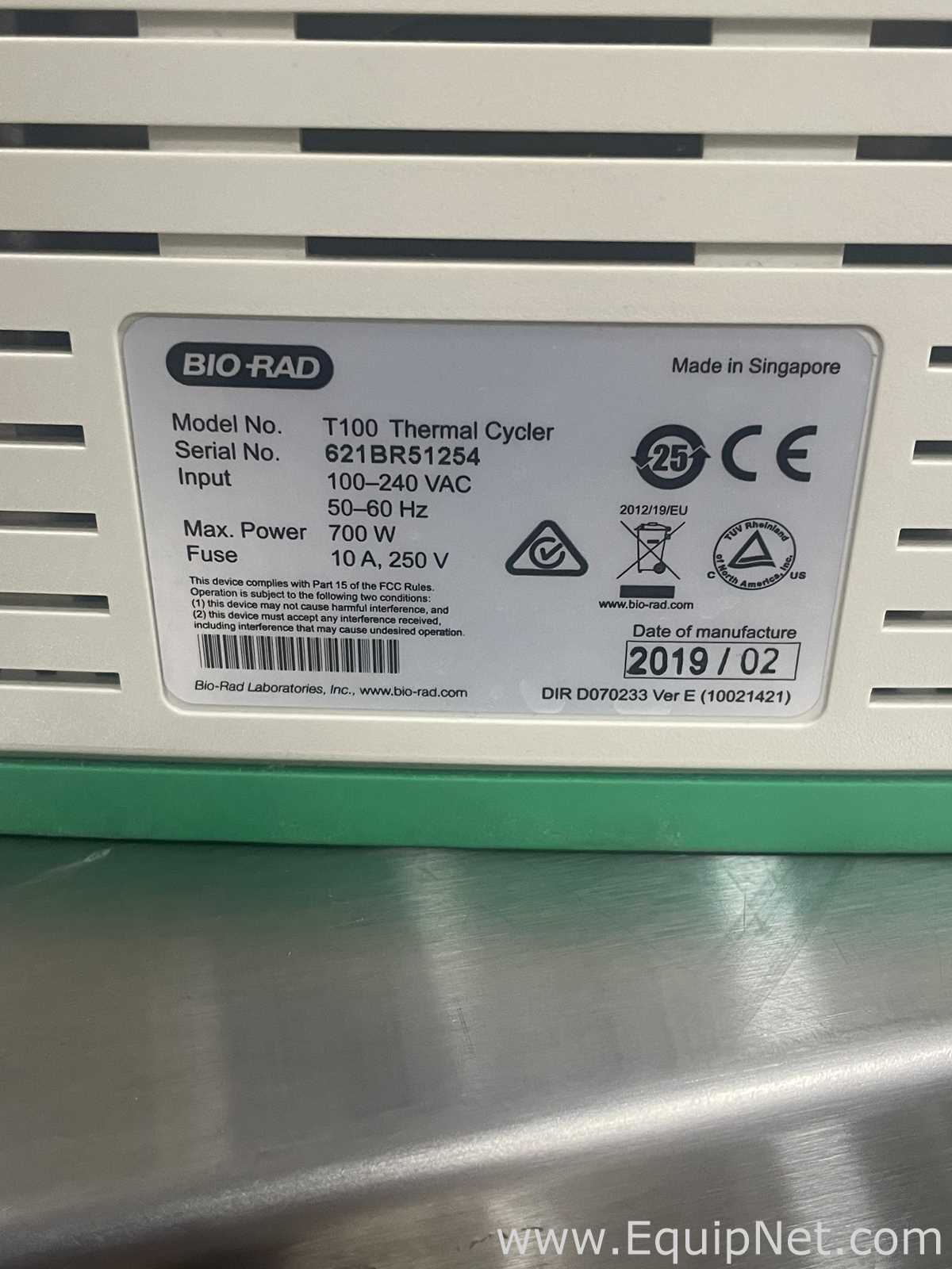 PCR und Thermocycler Bio-Rad T100
