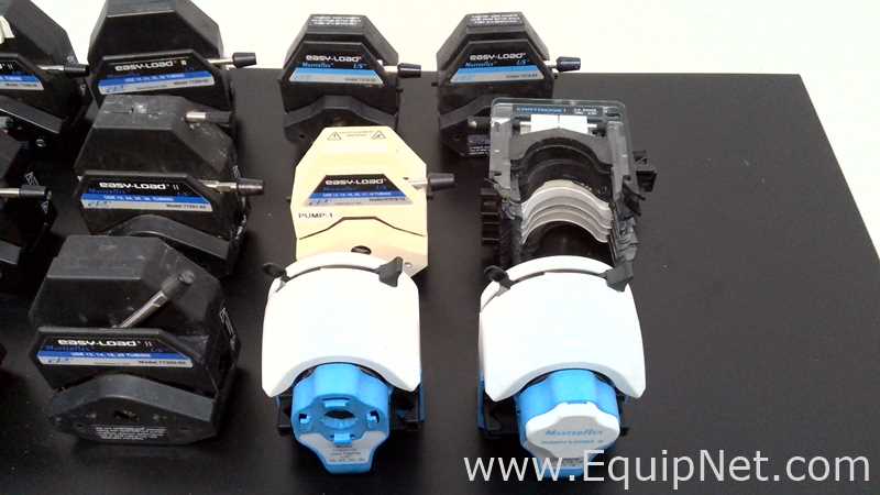 Lote de 16 Bomba de Laboratorio Cole Parmer Masterflex L/S