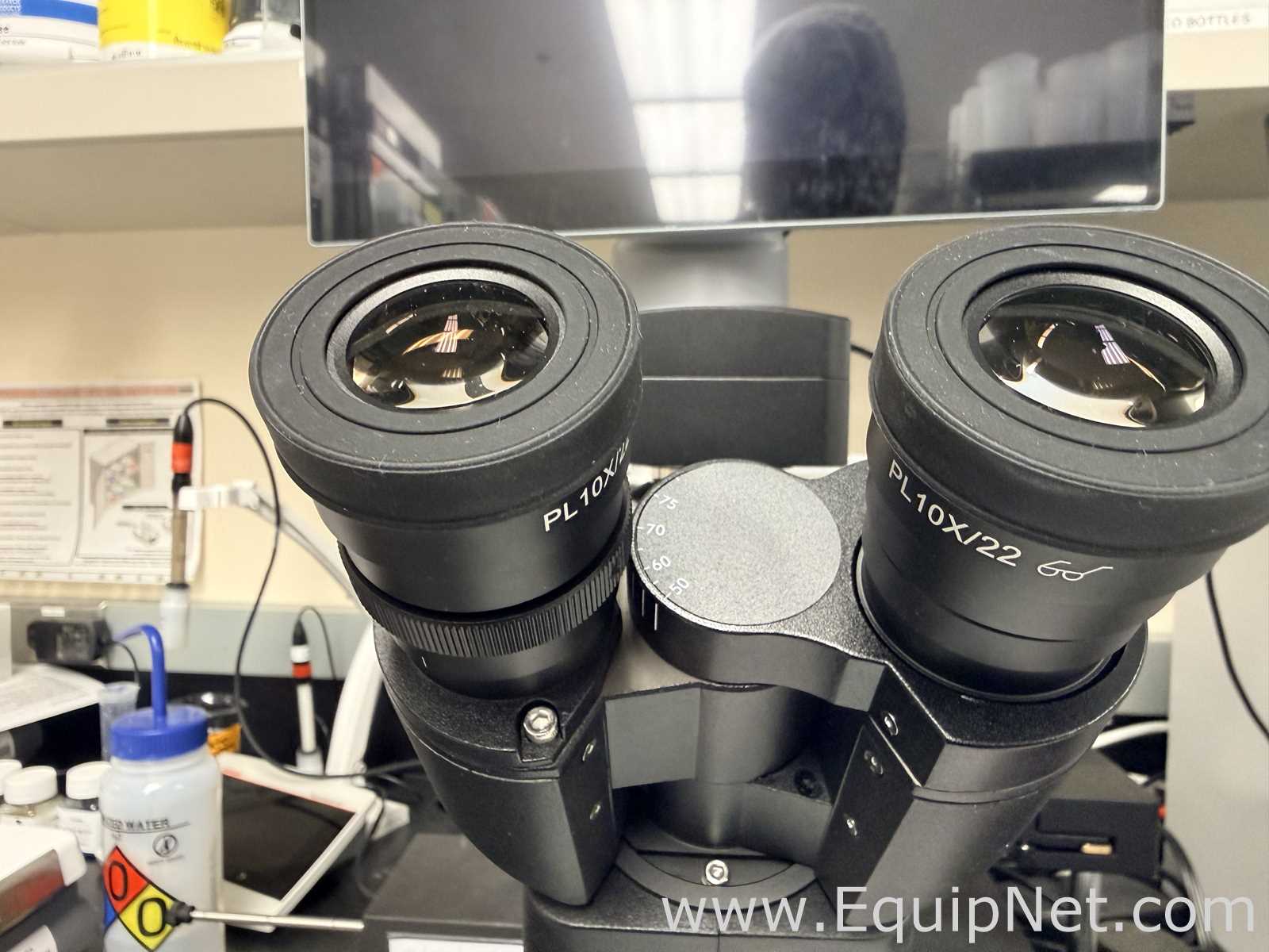 Optika IM-DGFL Microscope