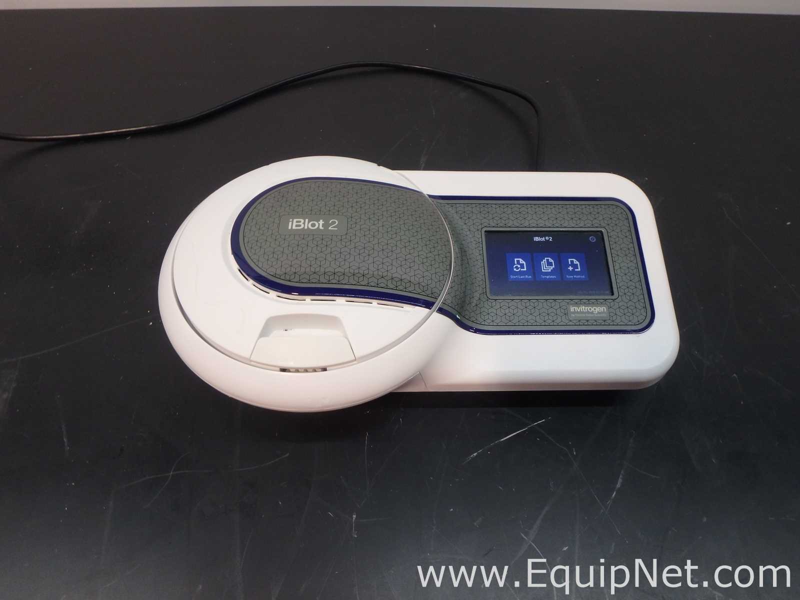 Invitrogen iBlot 2 Gel Transfer Device