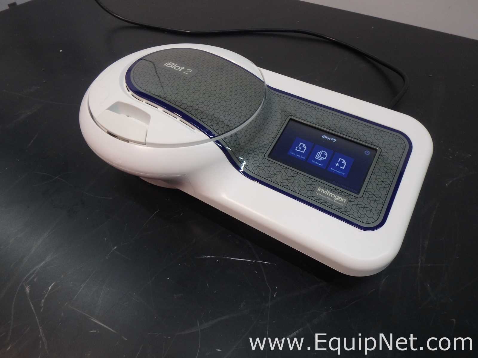 Invitrogen iBlot 2 Gel Transfer Device