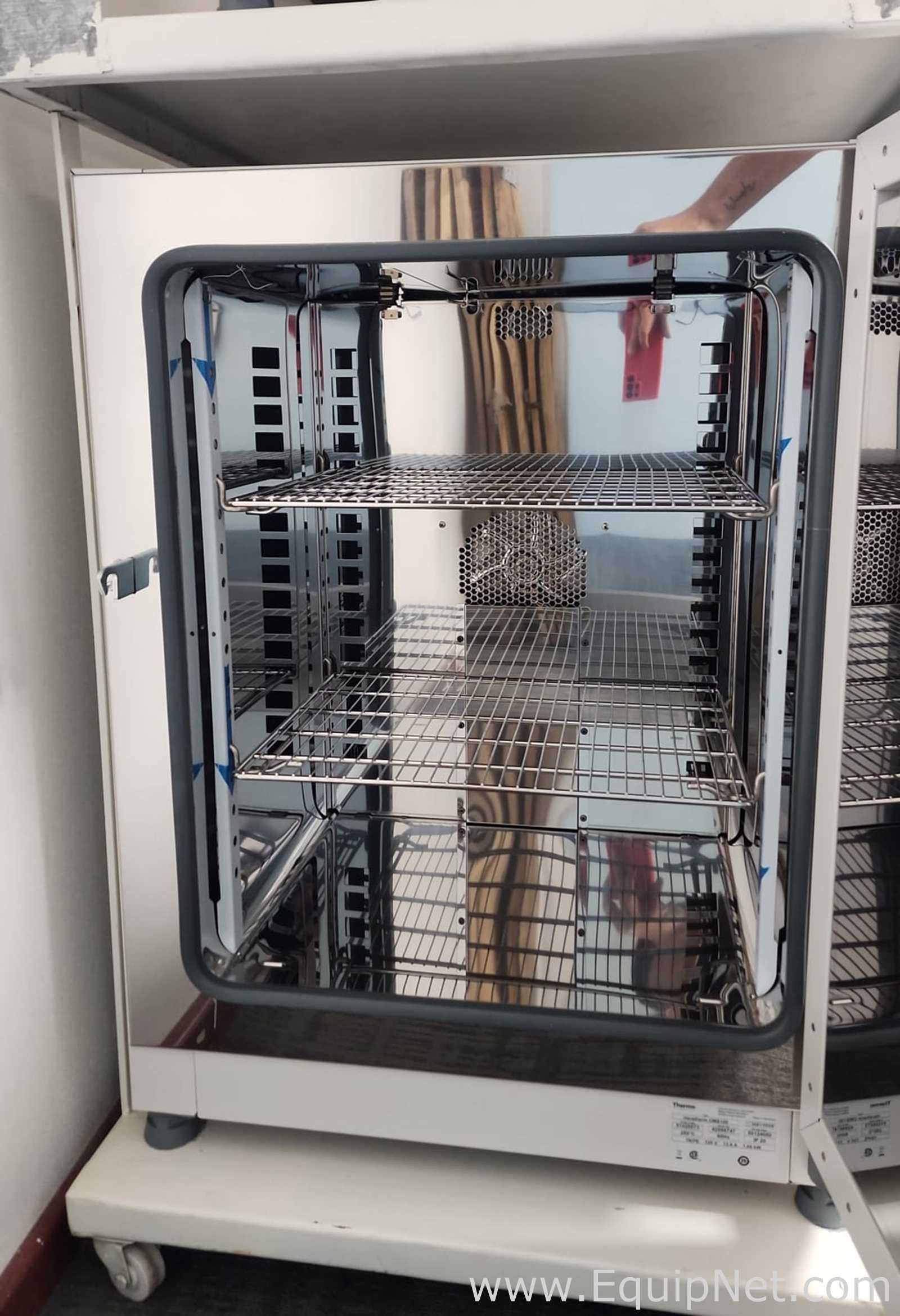 Thermo Scientific Heratherm OMS 100 Lab Oven