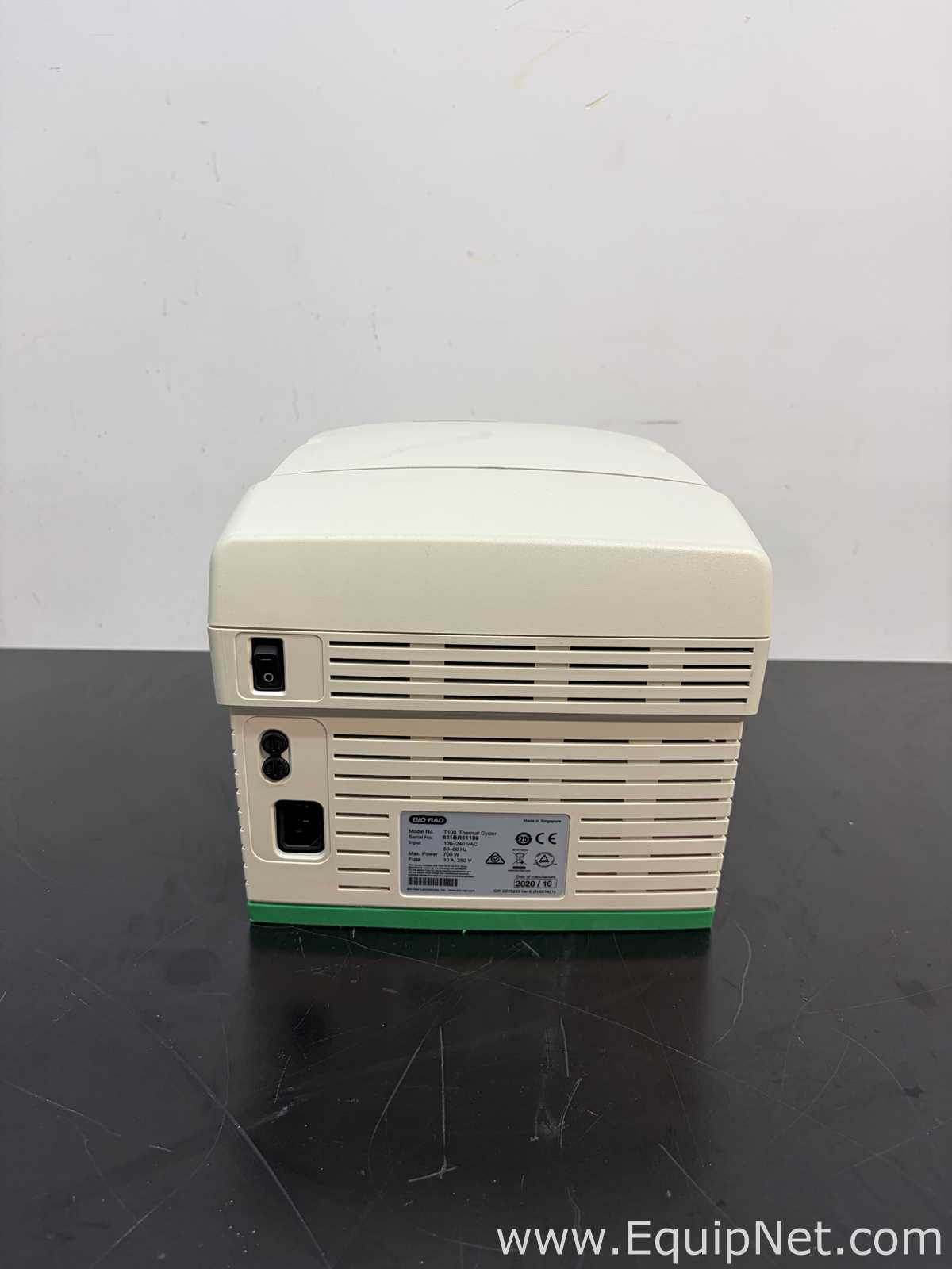 PCR e Termociclador Bio-Rad T100