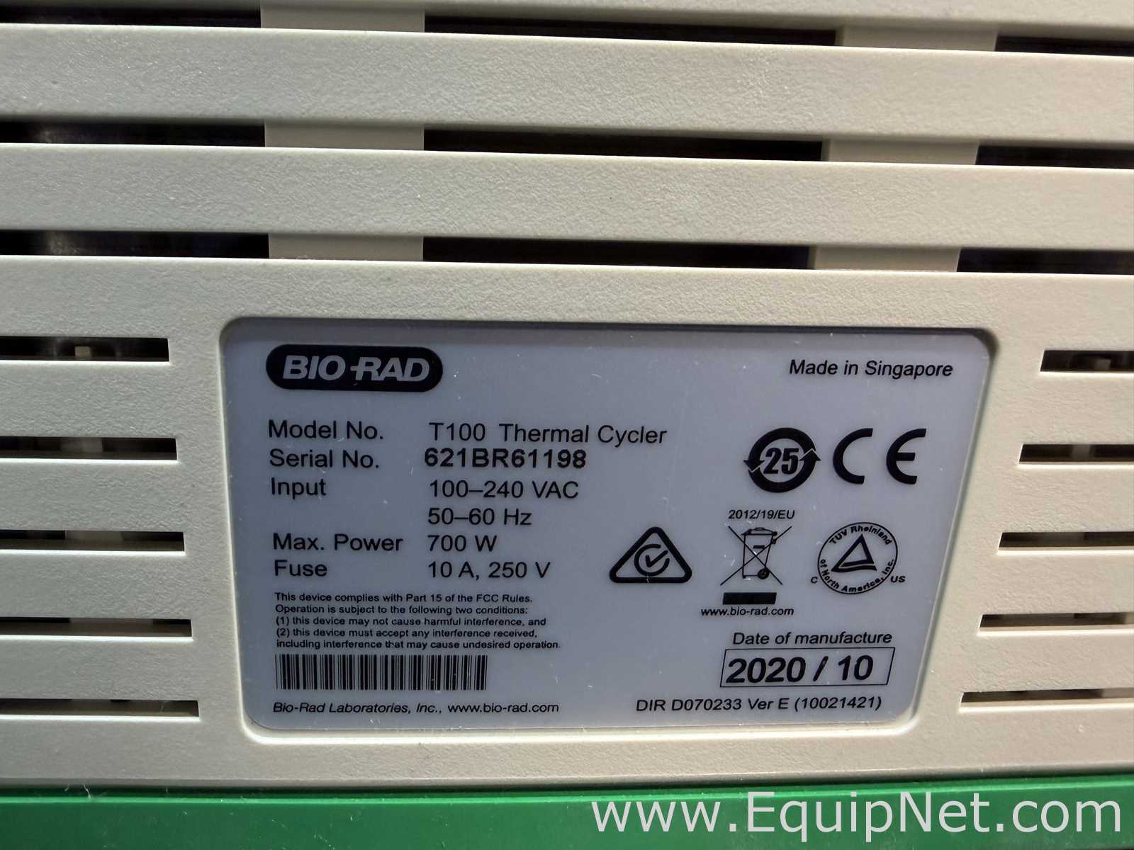 PCR e Termociclador Bio-Rad T100