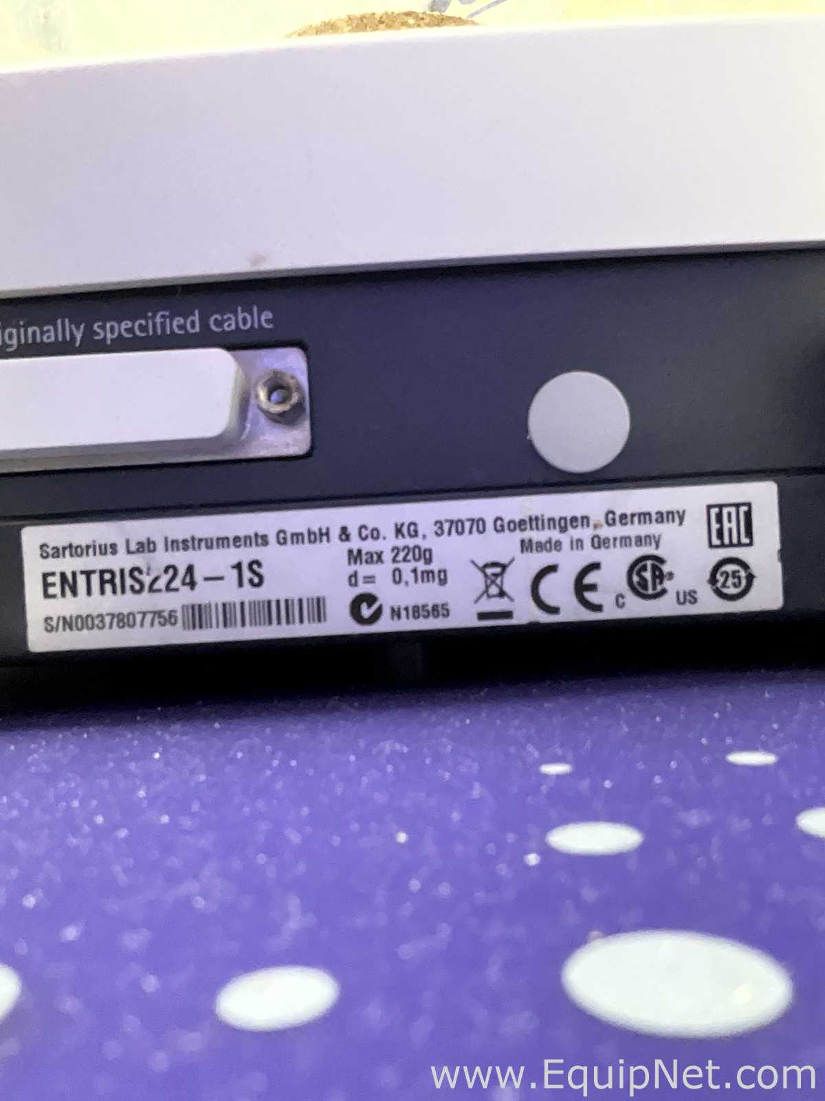 Báscula Sartorius ENTRIS224-1S