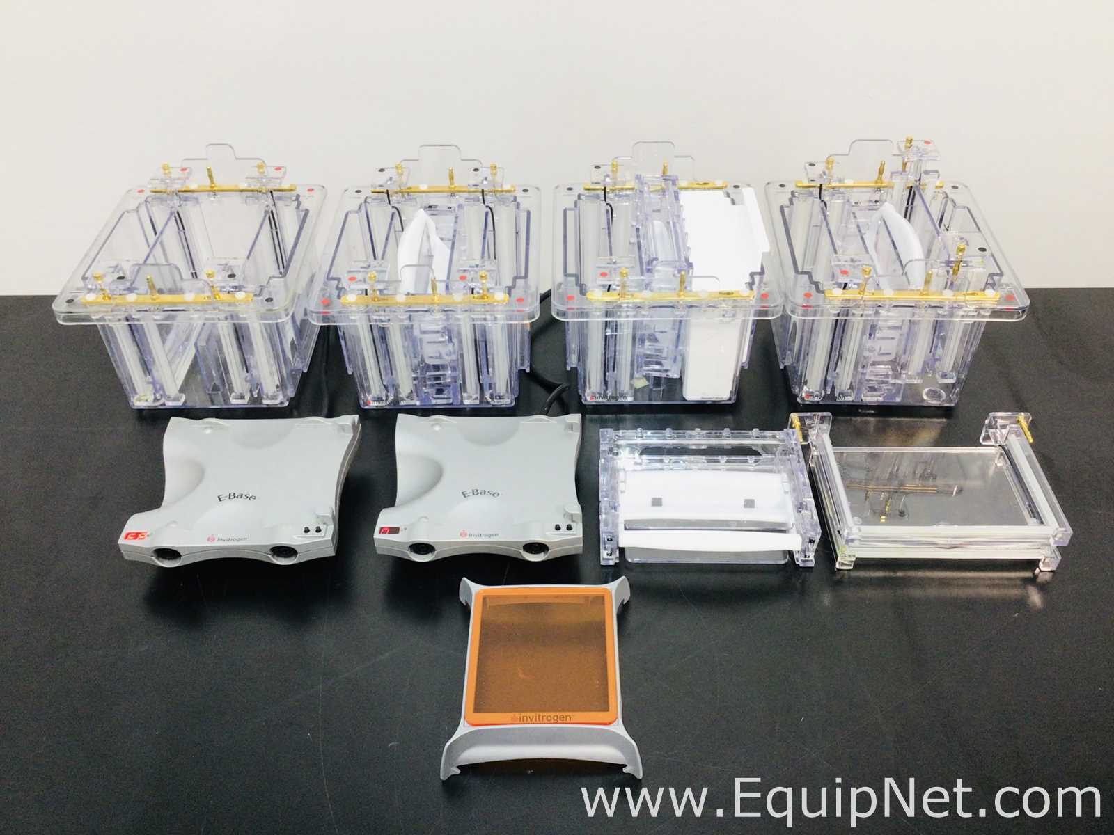 lote de   Sistema de Eletroforese Invitrogen E-Base