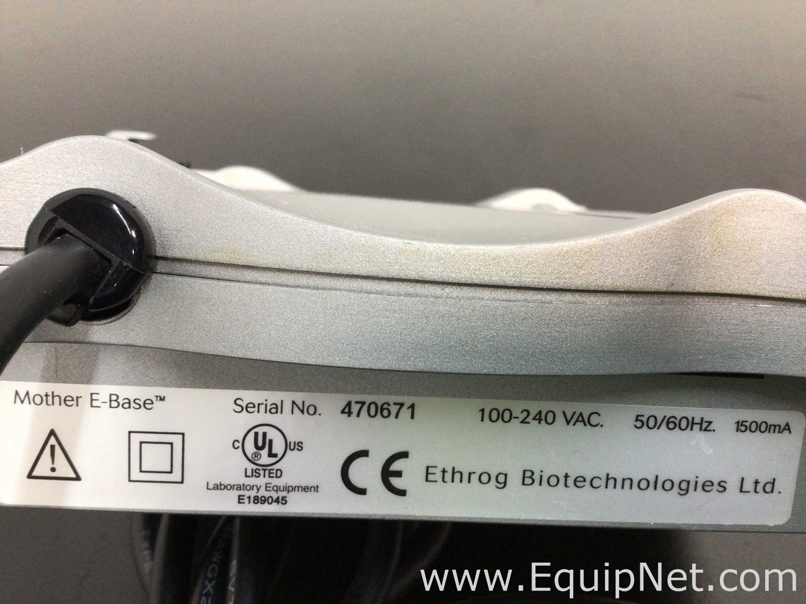 lote de   Sistema de Eletroforese Invitrogen E-Base