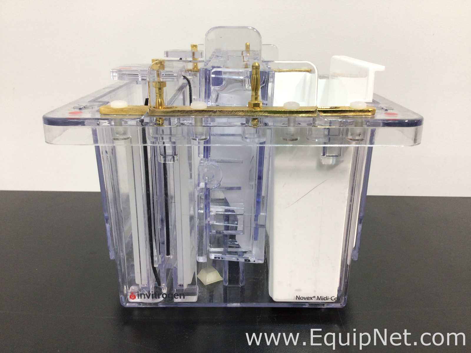 lote de   Sistema de Eletroforese Invitrogen E-Base
