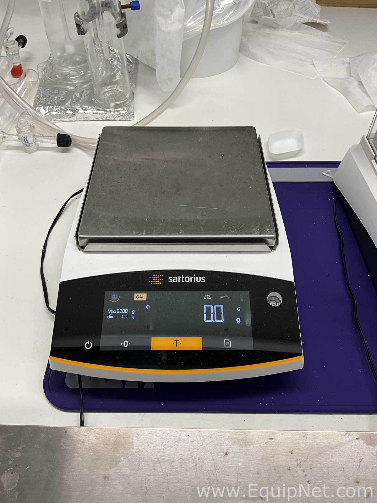Báscula Sartorius BCE8201-1S