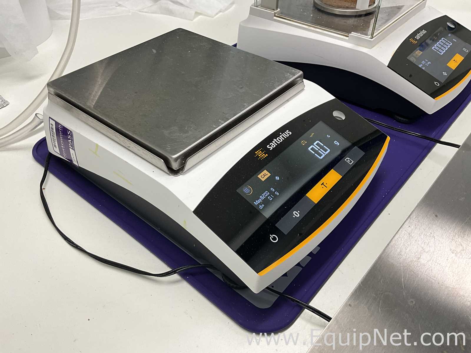 Báscula Sartorius BCE8201-1S