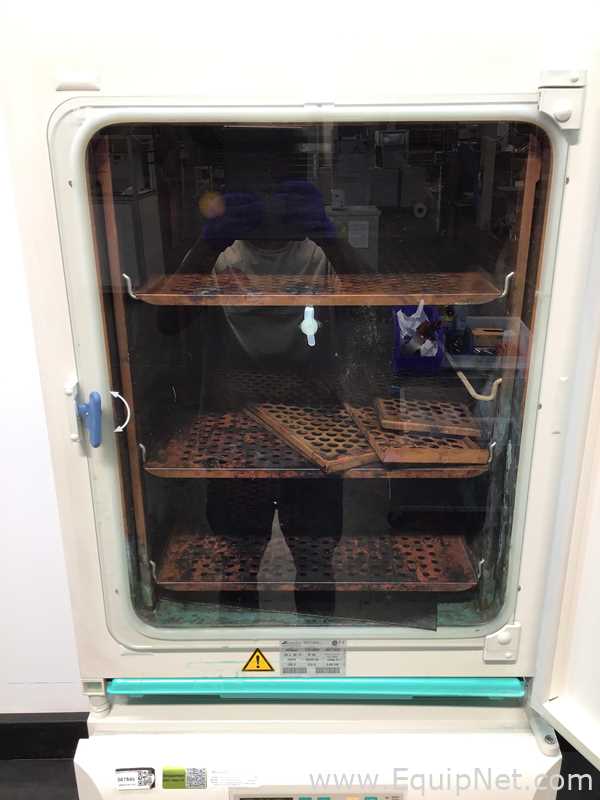 Incubadora Kendro Laboratory Products HeraCell