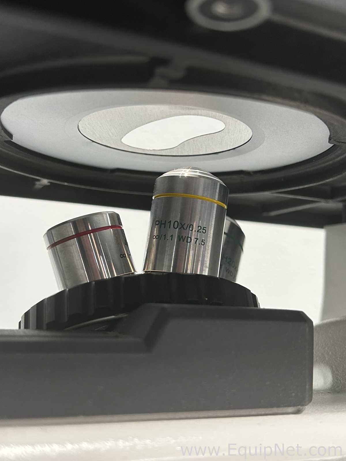 Fisher Scientific 29AX Microscope