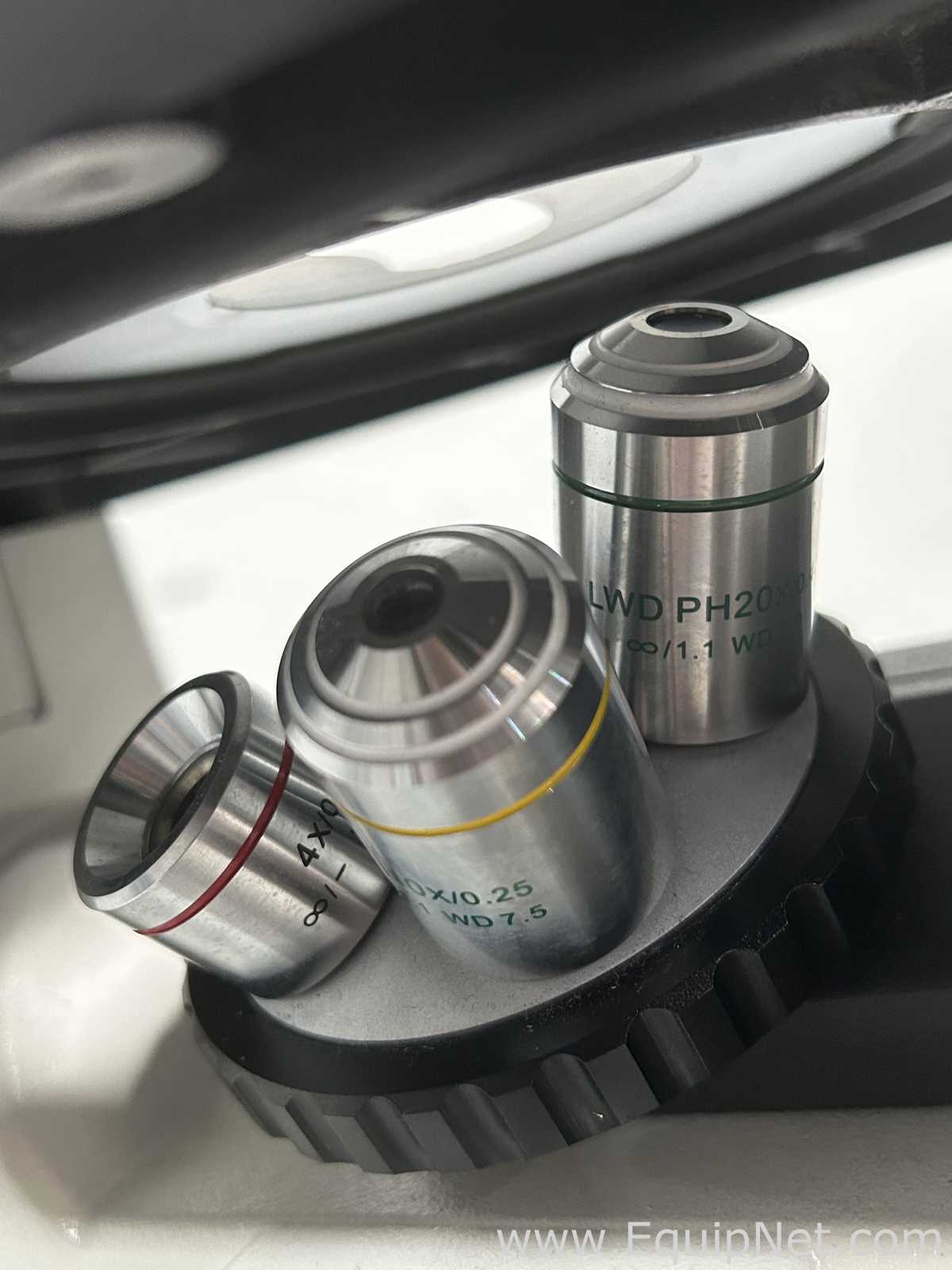 Fisher Scientific 29AX Microscope